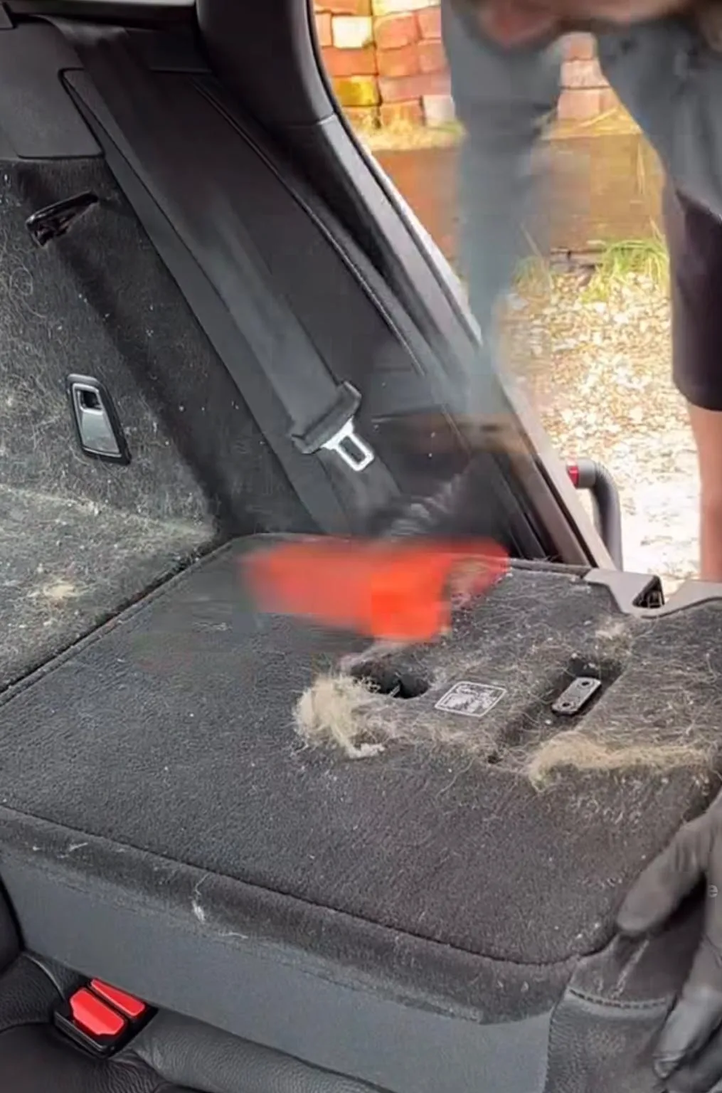Heavily embedded pet hair on a rear seat — before condition